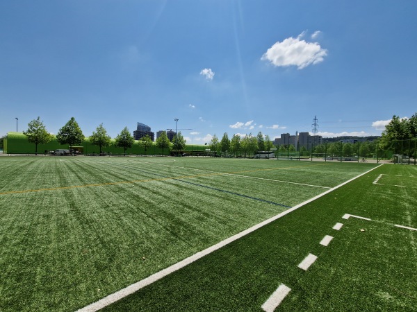 Sportanlage Heerenschürli Platz 5 - Zürich