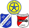Wappen SGM Bieringen/Berlichingen/Jagsthausen Reserve (Ground B)