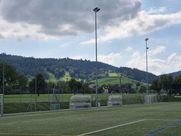 Sportplatz Schönenbüel - Unterägeri