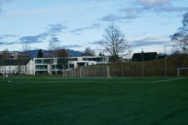 Sportanlage am See Kunstrasenplatz - Hard