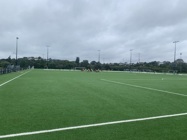 Seddon Field - Auckland