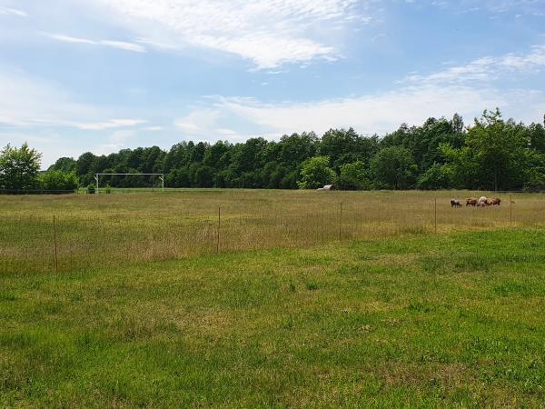 Sportplatz Sarnow - Sarnow