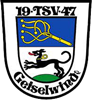 Wappen TSV 1947 Geiselwind diverse  100508