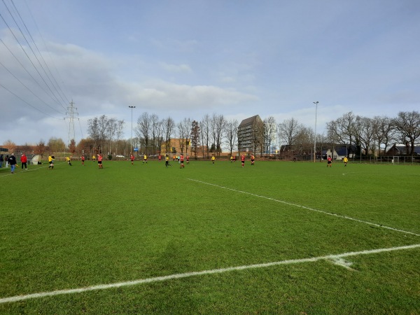 Sportpark Marsdijk veld B - Assen