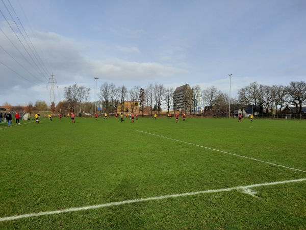 Sportpark Marsdijk veld B - Assen