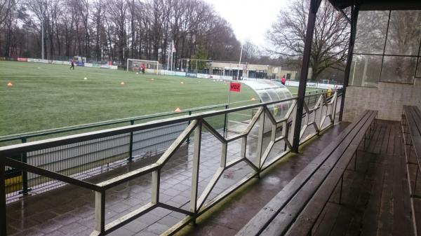 Sportpark 't Cranevelt veld 8-hoofdveld - Arnhem