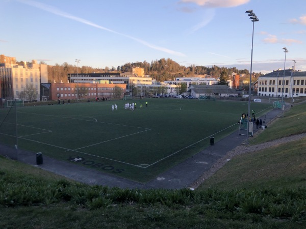Bryn kunstgress - Oslo