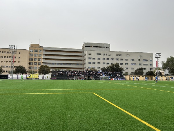 Campo de Futbol Mundial 82 - Cartagena, MC