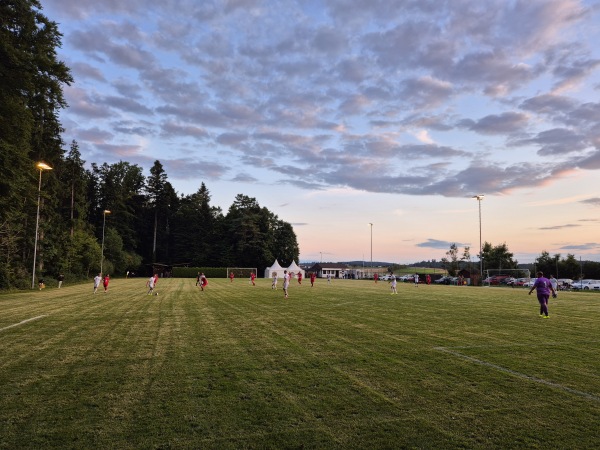 Sportplatz Hambühl - Jegenstorf