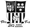 Wappen SG Weinheim/Heimersheim III (Ground B)  98230