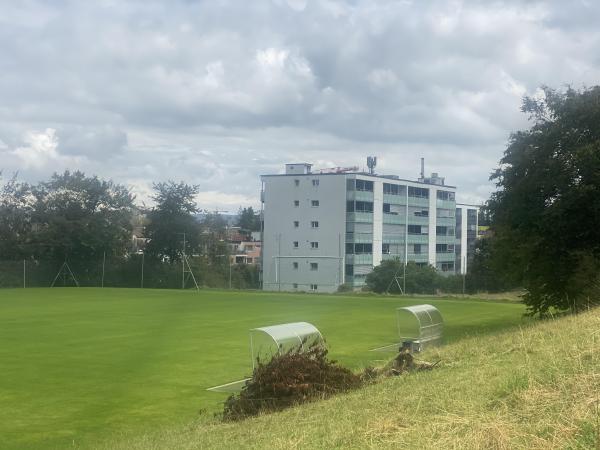 Sportanlage Buchlern Platz 3 - Zürich