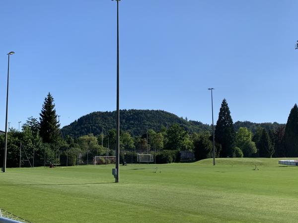 Sportanlage Trinermatten Platz 2 - Zofingen