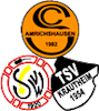 Wappen SGM Amrichshausen/Westernhausen/Krautheim - Frauen (Ground A)