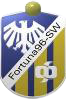 Wappen Fortuna 96 Schweinfurt II