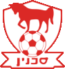 Wappen Ihoud Bnei Sakhnin FC diverse