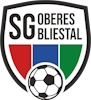 Wappen SG Oberes Bliestal II (Ground B)