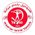 Wappen Hapoel Ironi Arabe diverse