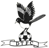 Wappen Dereham Town FC