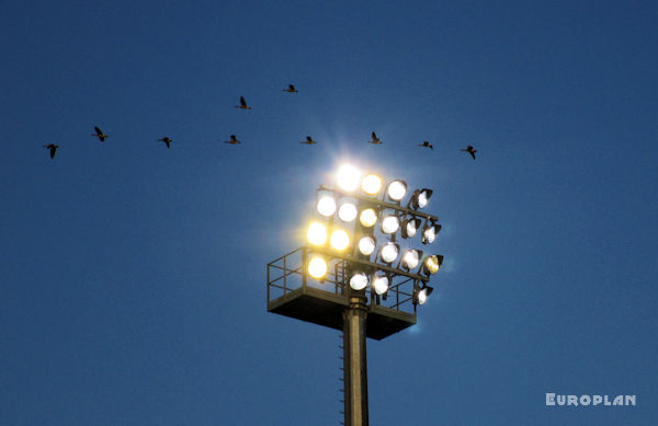 AOK Stadion - Wolfsburg