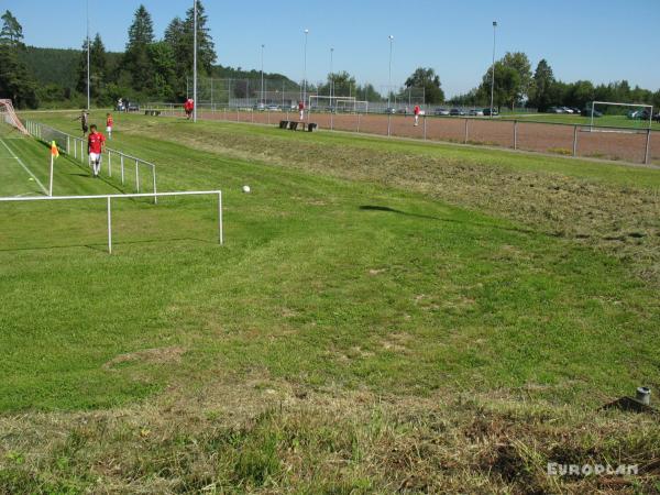 Sportgelände Ettenberg - Mühlheim/Donau