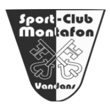 Wappen SCM Vandans diverse