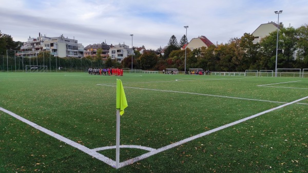 WSC-Trainingszentrum Nebenplatz - Wien