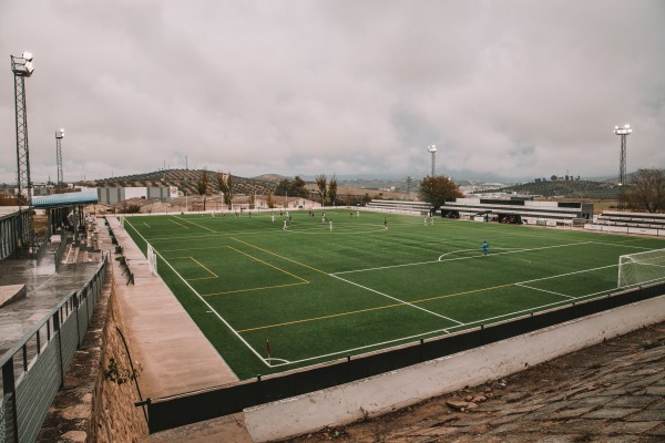 Campo de la Federación Sebastián Barajas - Jaén, AN