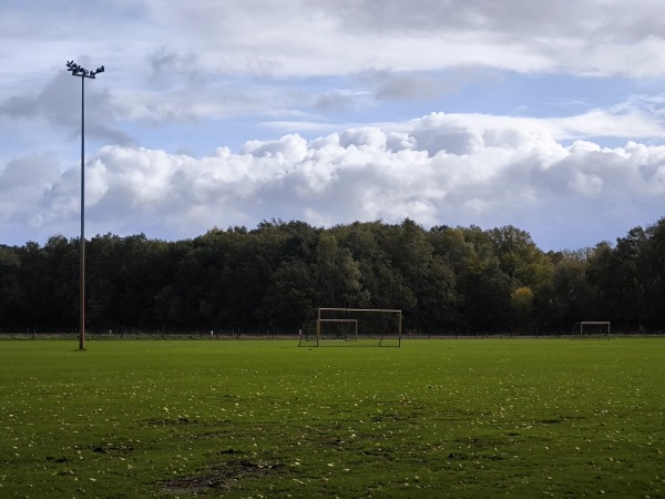 Waldsportzentrum am Immenweg Platz 5 - Nordhorn
