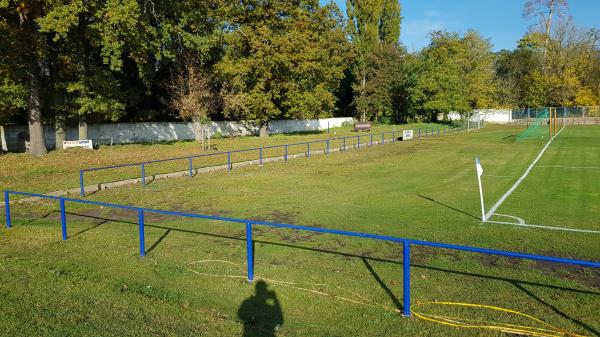 Sportplatz Kienfichten - Dessau-Roßlau