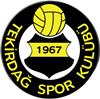 Wappen Tekirdağspor