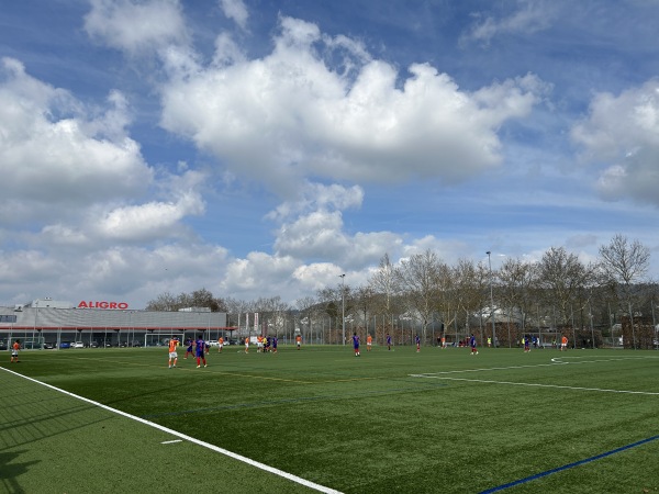 Sportanlage Juchhof 2 Platz 6 - Schlieren