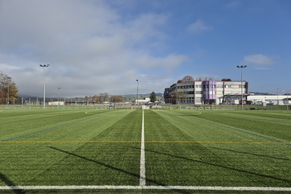 Sportanlage Barzloo Kunstrasenplatz - Pfäffikon ZH