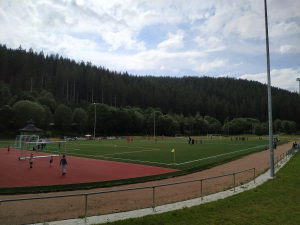 Helmut-Hofmann-Stadion - St. Blasien