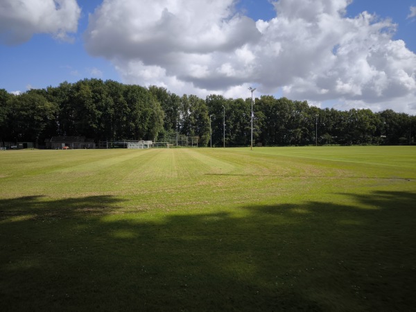 Sportpark De Wijchert veld 3 - Wijchen