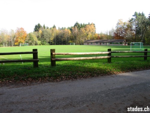 Terrain des Planches - Apples