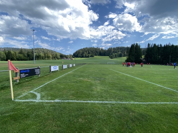 Centre Sportif du Communal terrain C - Le Locle
