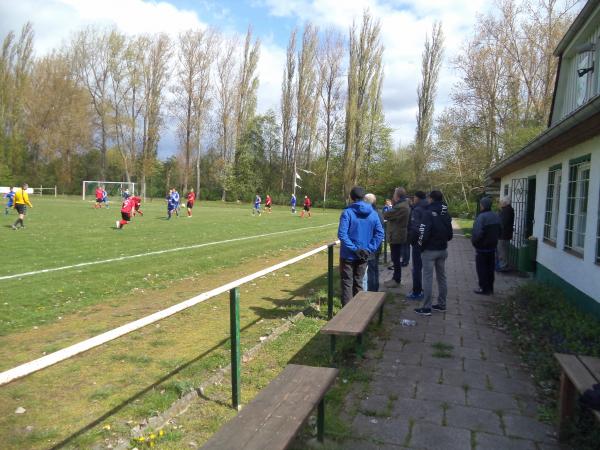 Pappelwaldstadion - Gröningen-Stadt Großalsleben
