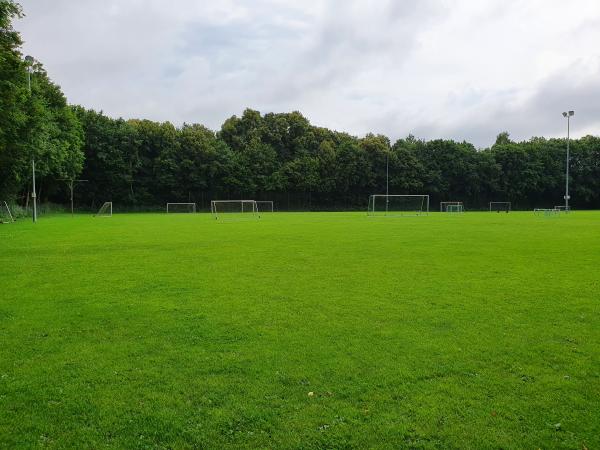Bezirkssportanlage Bienenheimstraße Platz 3 - München-Lochhausen