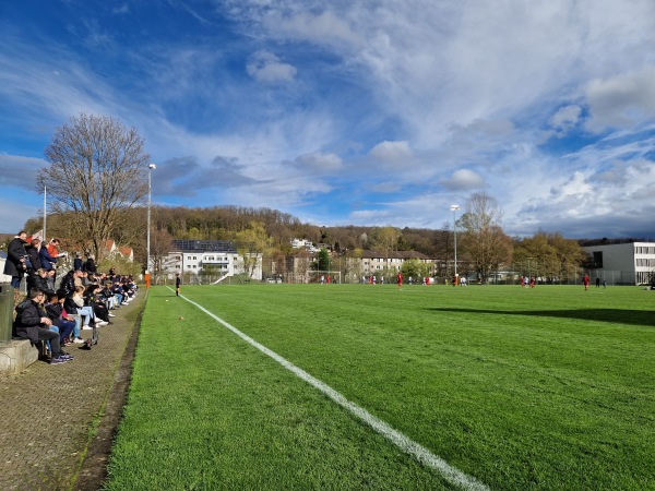 Sportplatz Eisweiher - Oberwil