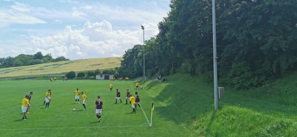 Sportanlage Rottenbauer Platz 2 - Würzburg-Rottenbauer