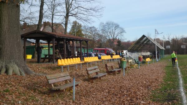 Boisko w Czarnowie - Czarnowo