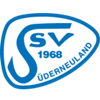 Wappen Süderneulander SV 1968 II  90302