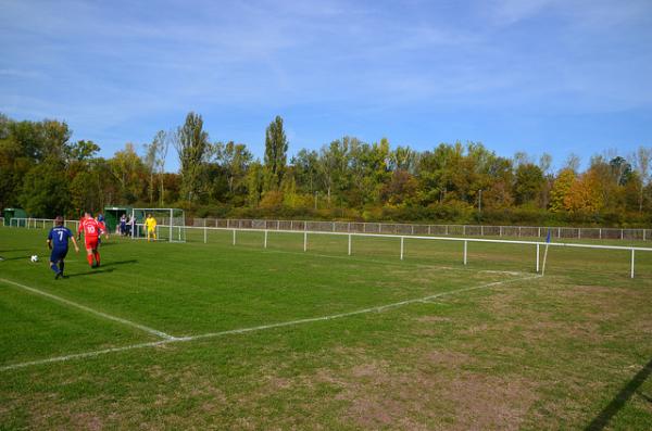 Sportplatz Am Zoopark - Erfurt-Roter Berg