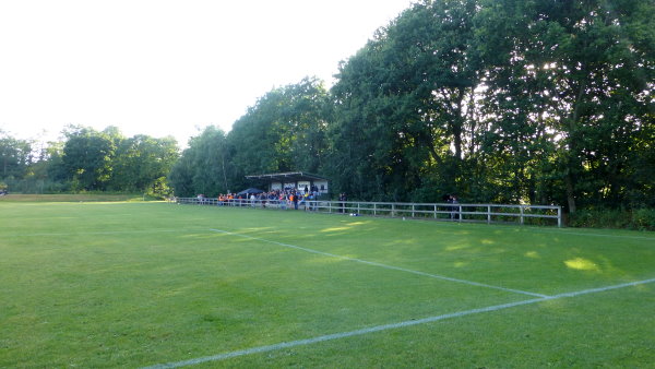 SkovParken - Vojens