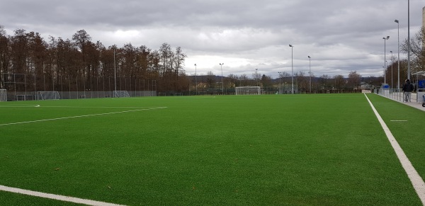 Sportanlage am Dammerstock Platz 2 - Karlsruhe-Dammerstock