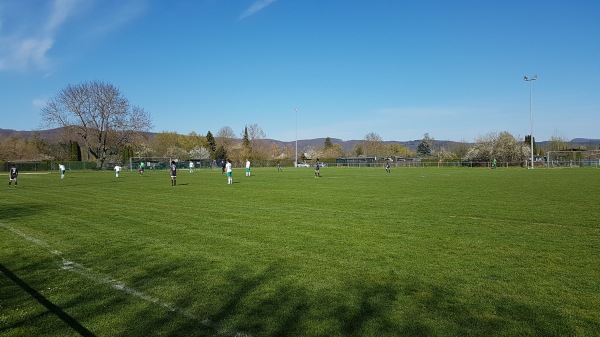 Sportplatz Werdchen - Eschwege