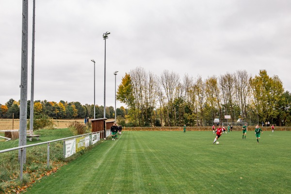 Sportplatz Rebesgrün - Auerbach/Vogtland-Rebesgrün