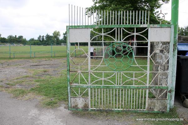 Mevlud Mimioshvili Central Stadion - Abasha