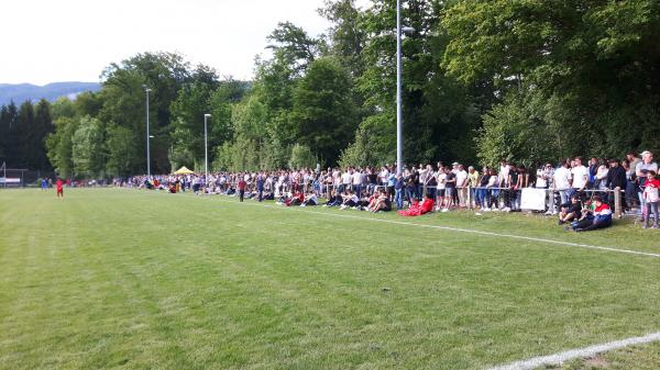 Sportplatz Widi - Zuchwil