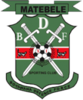 Wappen BDF XI FC